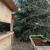 photo 2022-01-06 09-28-56