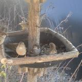 photo 2019-12-31 12-20-18