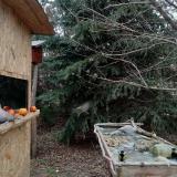 photo 2021-12-23 13-10-27