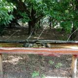 photo 2021-07-13 08-25-06