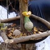 photo 2019-01-15 12-00-10