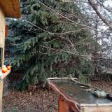 photo 2021-12-15 09-38-57