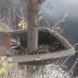 photo 2019-12-29 08-18-46