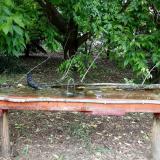 photo 2021-05-24 13-16-21