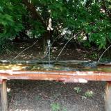 photo 2021-08-04 13-36-26