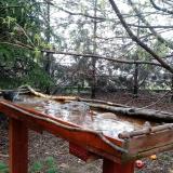 photo 2022-03-31 16-14-15