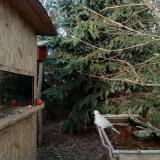 photo 2022-01-02 14-16-02