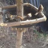 photo 2019-02-20 13-01-12