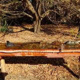 photo 2021-10-27 10-58-37