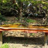 photo 2021-04-21 12-51-44