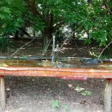 photo 2021-07-20 13-45-08