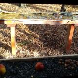 photo 2021-11-03 08-42-28