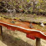 photo 2021-04-06 12-49-28