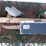 photo 2021-02-11 08-05-47