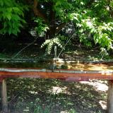 photo 2021-05-21 10-30-16