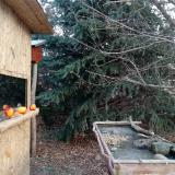 photo 2021-12-22 09-40-39