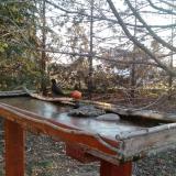 photo 2022-03-14 06-54-33