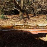 photo 2021-10-29 14-00-21