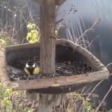 photo 2019-12-22 11-28-50