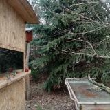 photo 2022-01-11 13-05-39