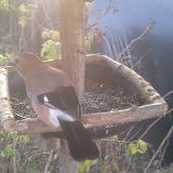 photo 2019-12-17 08-48-30