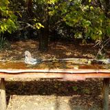 photo 2021-10-12 12-27-48