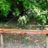 photo 2021-05-25 10-34-45