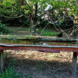 photo 2021-04-24 18-19-22