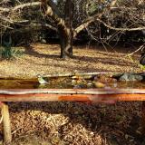 photo 2021-10-26 09-23-27