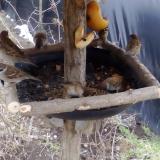 photo 2019-02-02 10-58-24