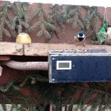 photo 2021-02-10 15-24-19