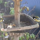 photo 2019-12-08 11-49-46