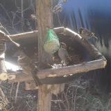 photo 2019-02-12 10-27-08