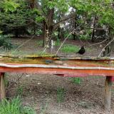 photo 2021-04-26 14-18-14