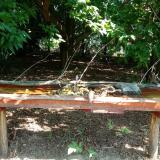 photo 2021-07-23 09-56-38