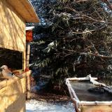 photo 2022-01-09 09-19-26