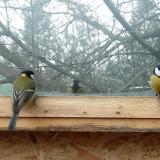 photo 2022-01-16 10-36-35 kek vereb