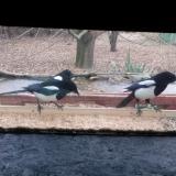 photo 2021-12-09 08-55-40