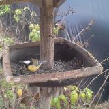 photo 2019-12-13 13-05-31