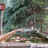 photo 2023-10-02 09-03-24