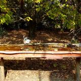 photo 2021-10-12 12-26-37