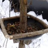 photo 2019-01-08 09-54-35