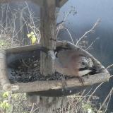 photo 2019-12-26 07-53-10