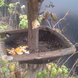 photo 2019-12-07 14-06-13