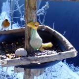 photo 2019-01-21 09-57-31