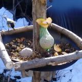 photo 2019-01-14 09-58-43