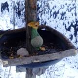 photo 2019-01-20 07-47-49