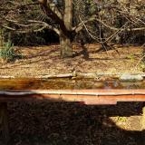 photo 2021-10-27 13-55-00