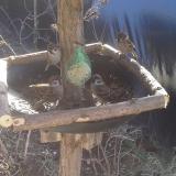 photo 2019-02-12 10-49-31