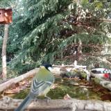 photo 2023-10-05 11-25-43